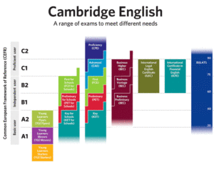 CAMBRIDGE ENGLISH-diagram2011